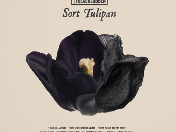 Folkeklubben – Sort&nbsp;Tulipan
